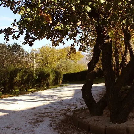 Bed & Breakfast Fabula Ventis